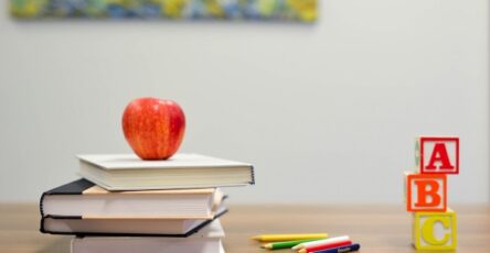 Five Challenges of Elementary Education as a Career
