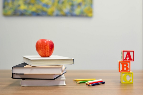 Five Challenges of Elementary Education as a Career