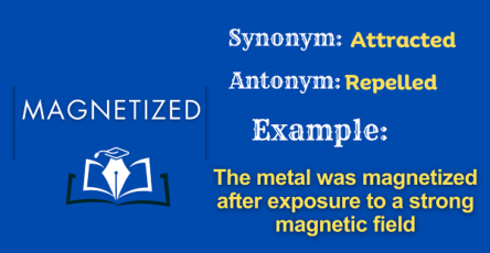 Magnetized – Definition, Meaning, Synonyms & Antonyms