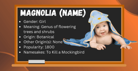 Magnolia (name): Meaning, Origin, Popularity & Namesakes