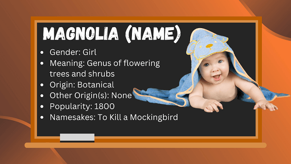 Magnolia (name): Meaning, Origin, Popularity & Namesakes