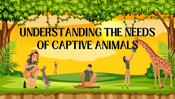 proper animal care
