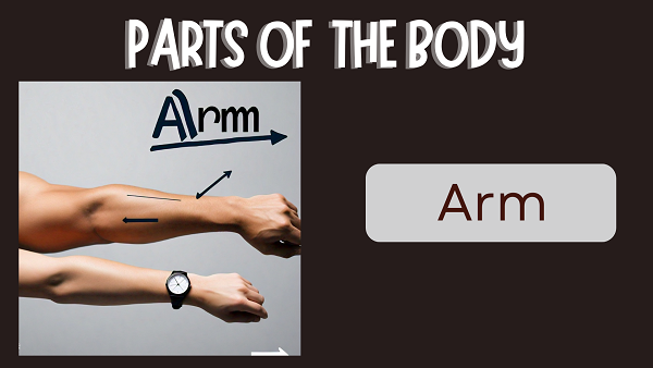 Arm