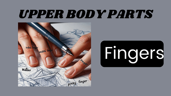 Fingers