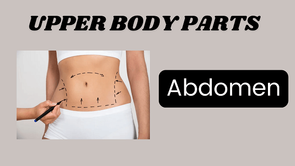 Abdomen