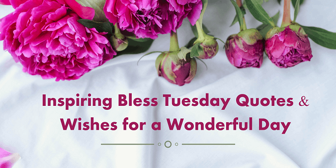 Bless Tuesday