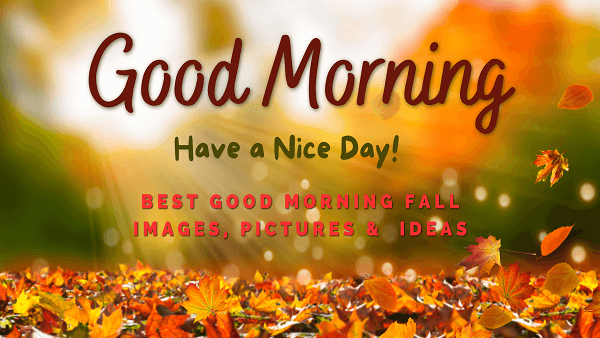 Good Morning Fall