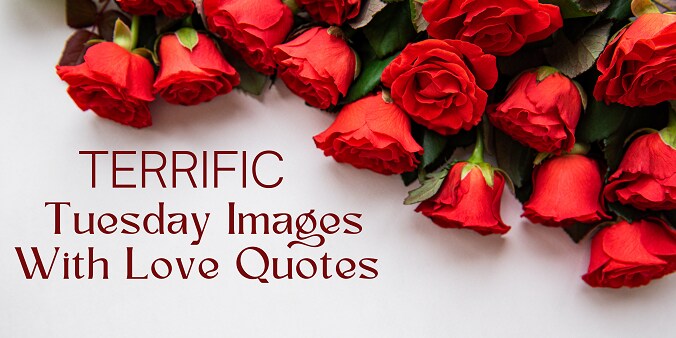 Terrific Tuesday Images and Quotes
