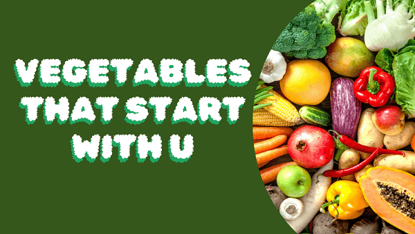 Vegetables that start with u