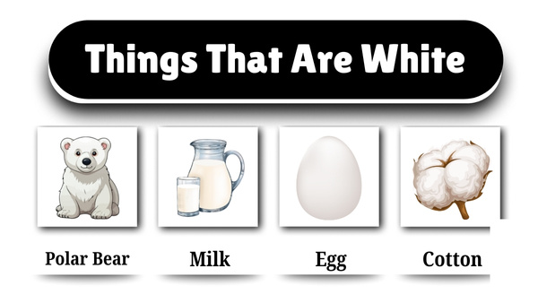 Things That Are White